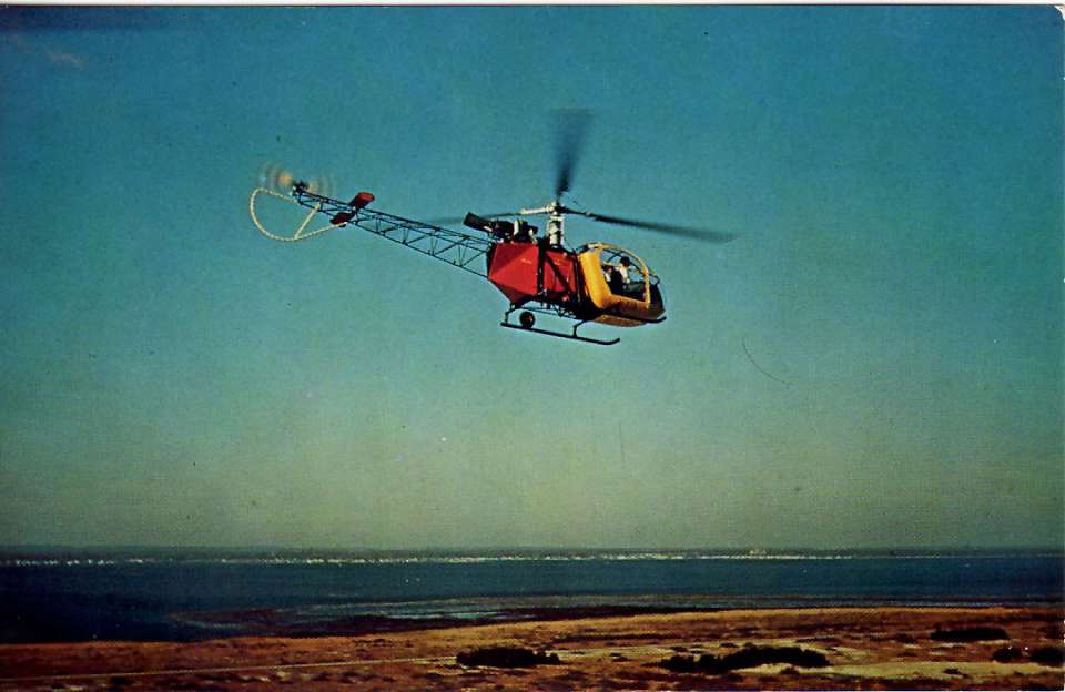 Republic Lark (Alouette II)