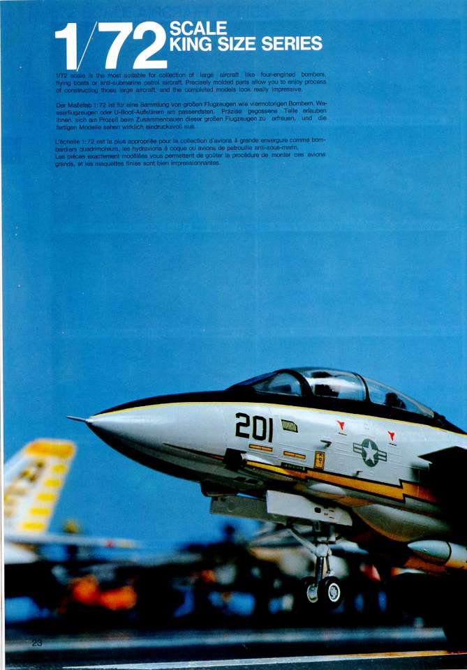 Hasegawa 1984 (16)-960
