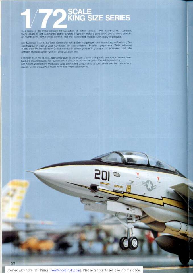 Hasegawa 1984 (26)-960