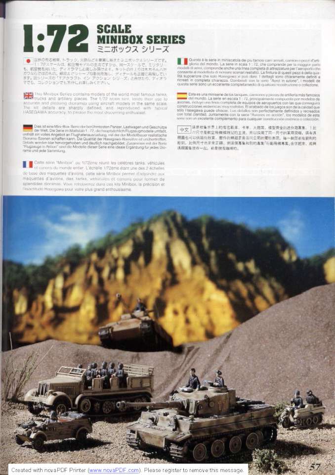 Hasegawa 1995 Page 57-960