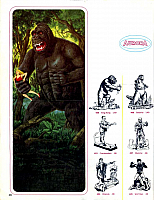 Aurora 1964 (28)-960