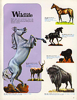 Aurora 1975 (31)-960