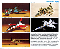 Hasegawa 1981 (08)-960