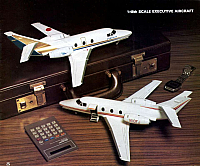 Hasegawa 1981 (27)-960