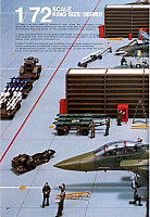 Hasegawa 1985 (24)-960