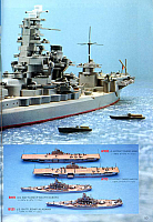 Hasegawa 1985 (51)-960