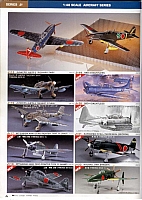 Hasegawa 1995 Page 06-960