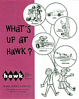 Hawk 1961 (01)-960