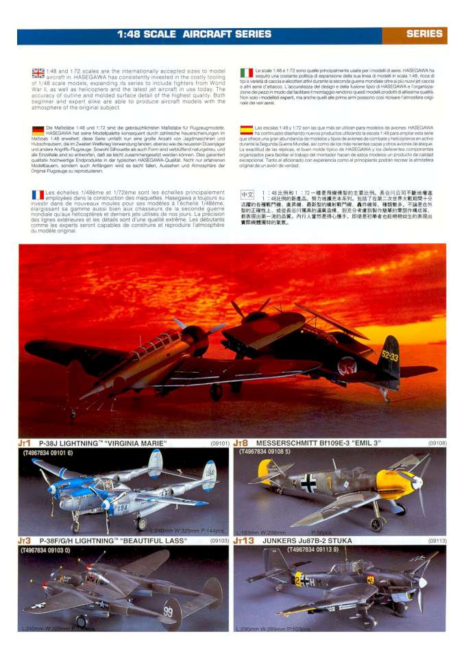 Hasegawa 2003 Page 19-960