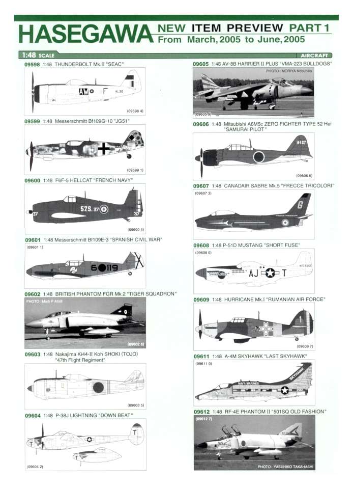 Hasegawa 2005 Page 52-960