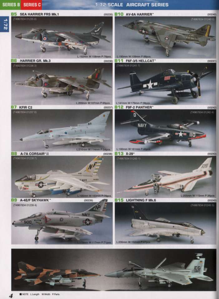 hasegawa06-960