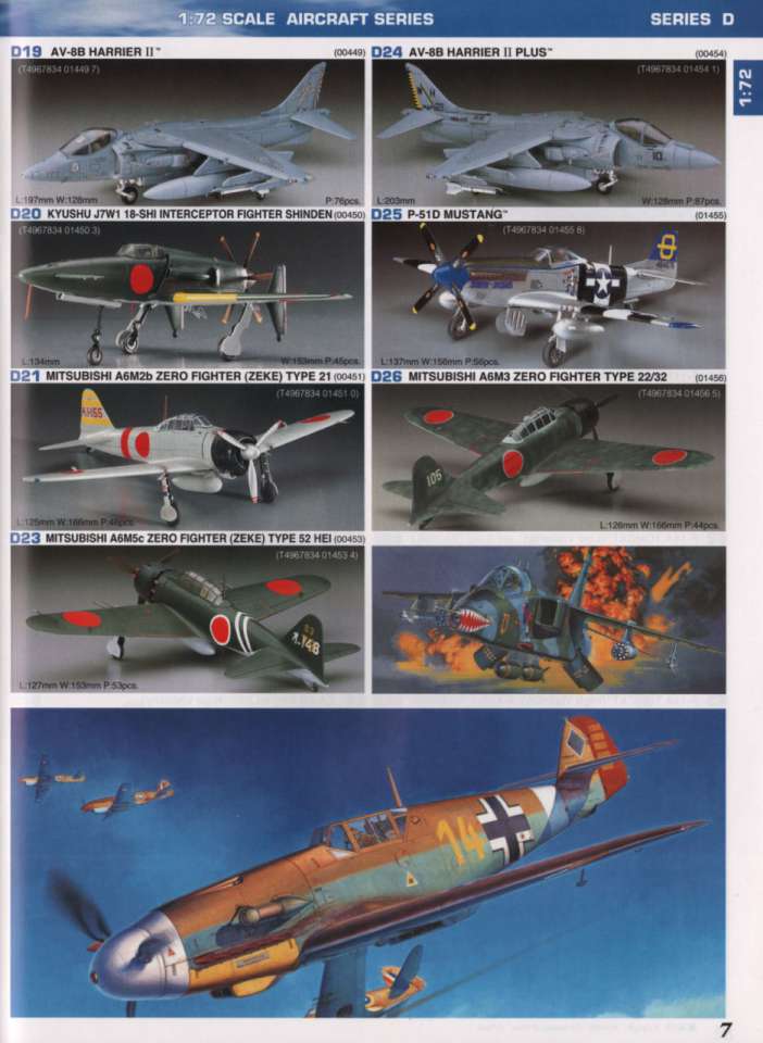 hasegawa09-960