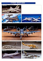Hasegawa 2003 Page 13-960