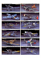 Hasegawa 2003 Page 21-960