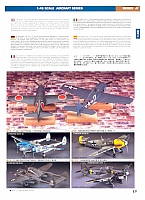 Hasegawa 2005 Page 17-960