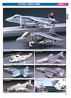 Hasegawa 2005 Page 23-960