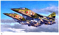 Hasegawa 2005 Page 28-960