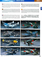 Hasegawa 2008 Page 17-960