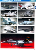 Hasegawa 2008 Page 25-960