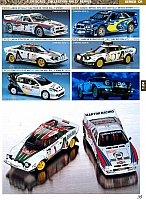 Hasegawa 2008 Page 36-960
