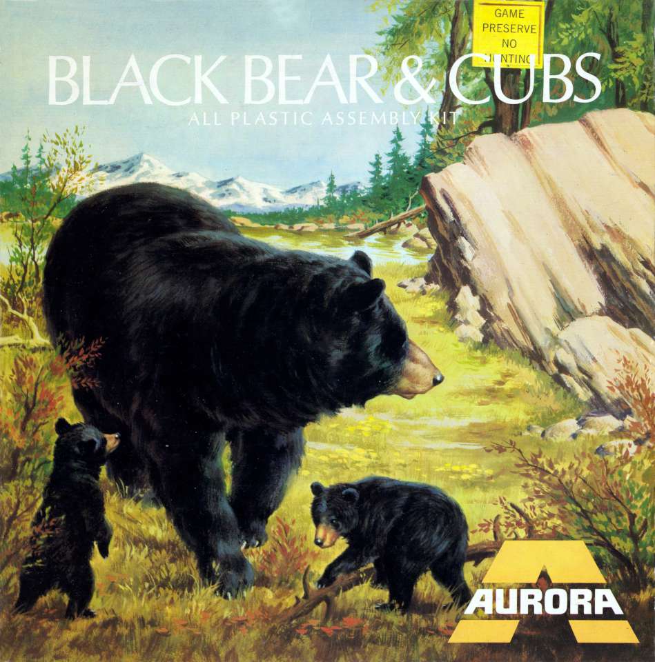 Aurora Black Bear & Cubs