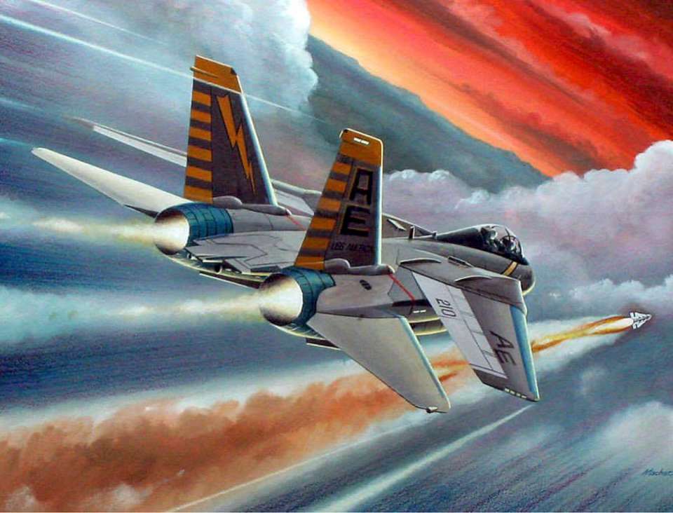 Grumman F-14 Tomcat by Mike Machat-960