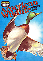 Life Like Mallard Duck