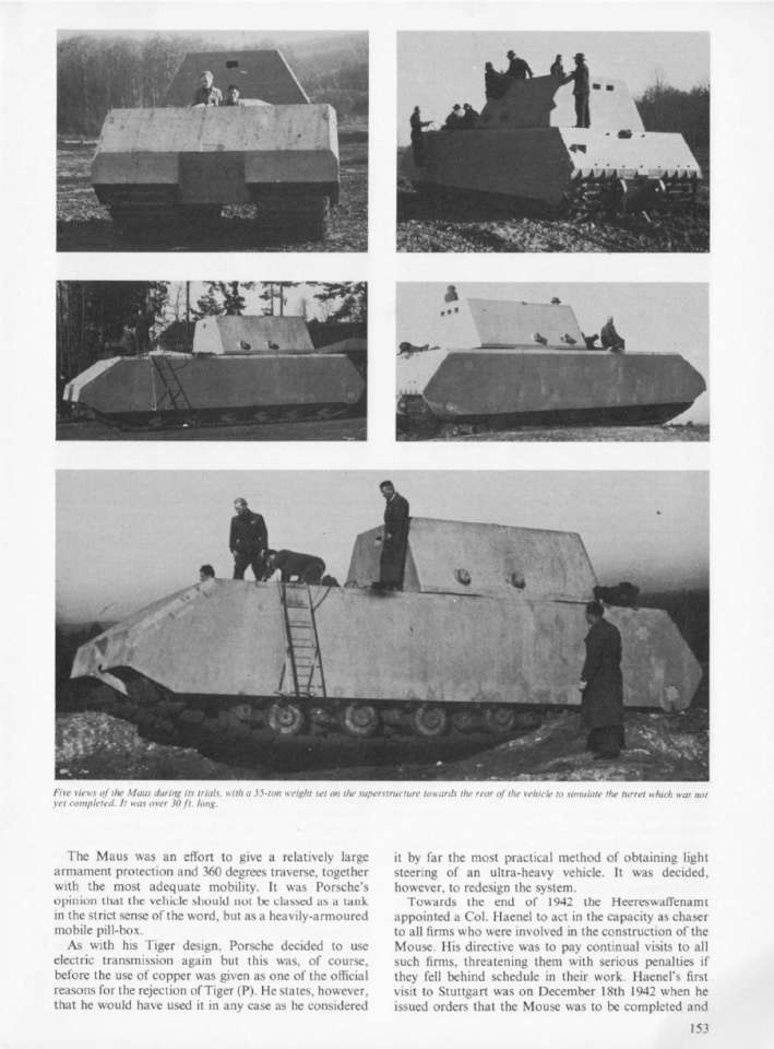 Elefant & Maus 61 (15)-960