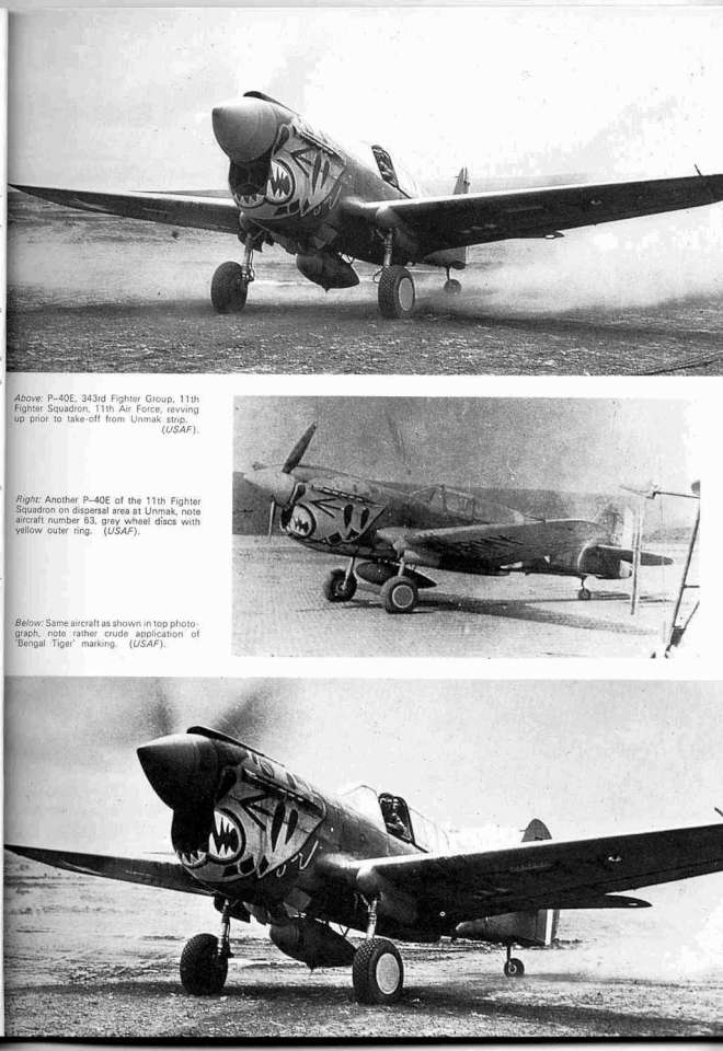 07 Curtiss P-40D-N Warhawk Page 13-960