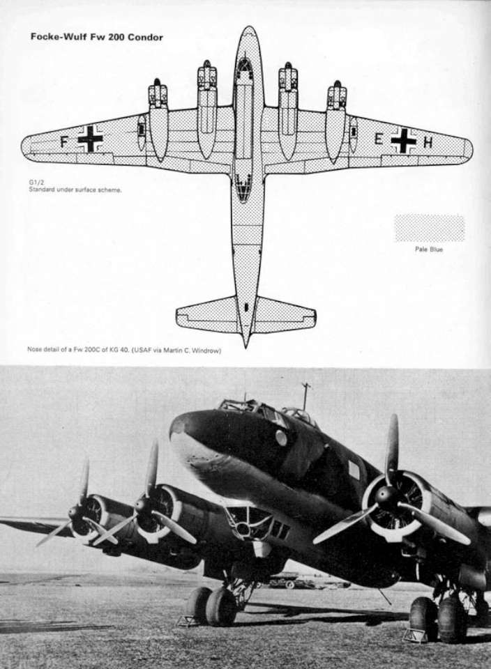 S11 Luftwaffe Camo & Markings 1940 Vol. 2 Page 44-960
