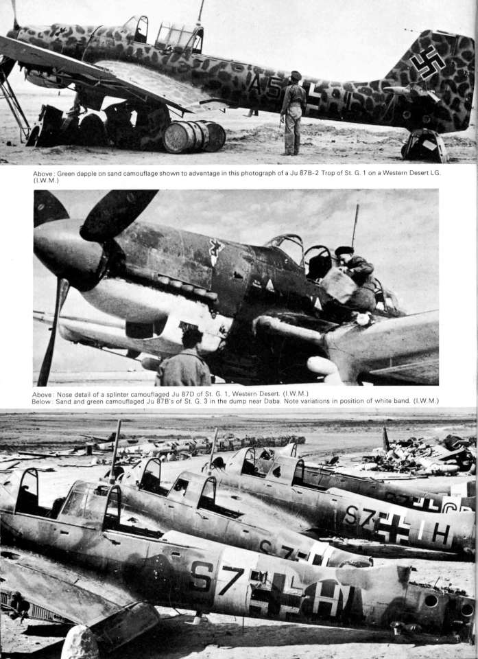 S06 Luftwaffe Colour & Markings 1935-1945 Vol. 1 Page 50-960