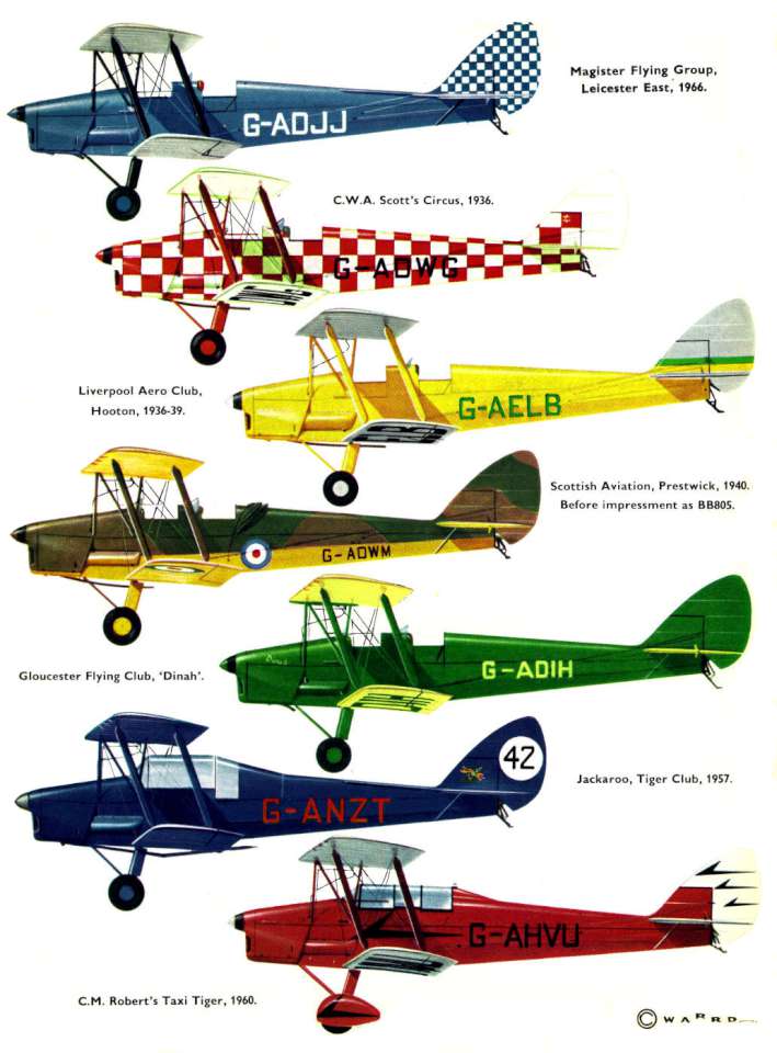 De Havilland DH82 Tiger Moth (132) Page 08-960