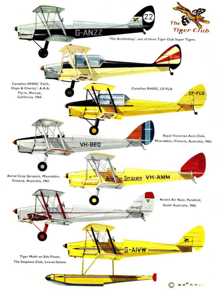 De Havilland DH82 Tiger Moth (132) Page 09-960