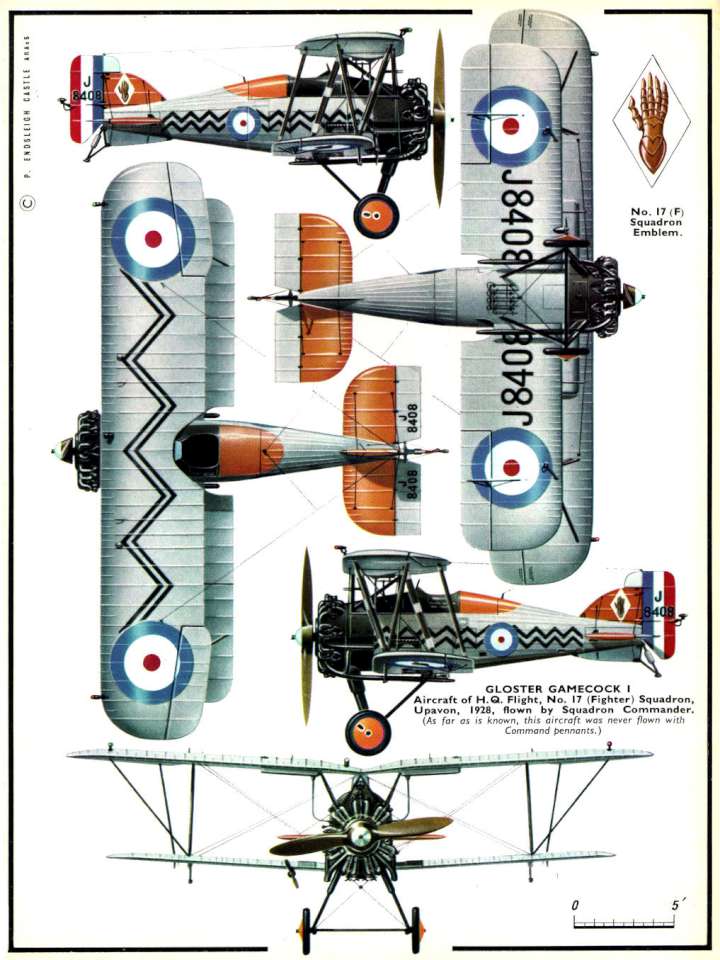 Gloster Gamecock (33) Page 02-960