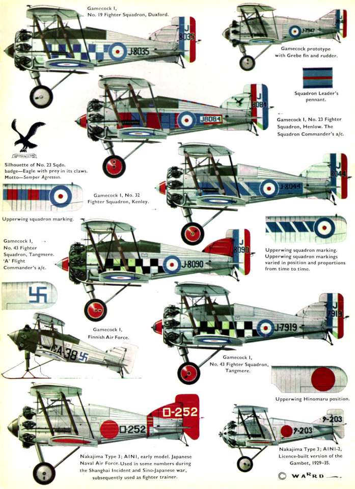 Gloster Gamecock (33) Page 11-960