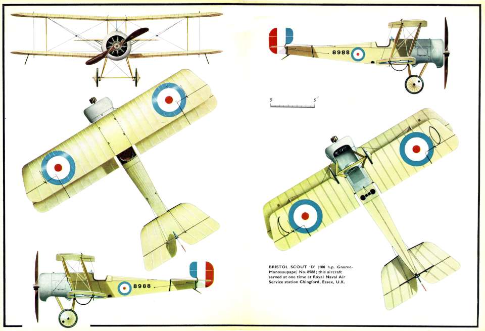 Bristol Scouts D 5view-960