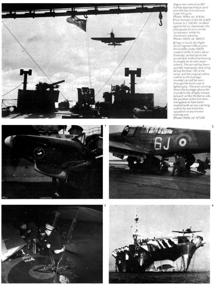 Fairey Fulmar (254) Page 24-960