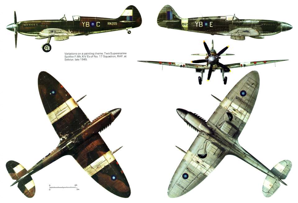 Supermarine Spitfire XIV 5view-960