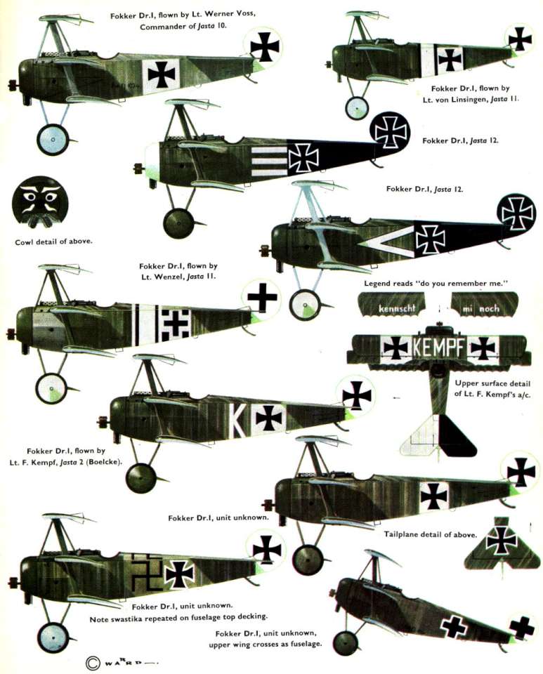 Fokker Dr.I Triplane (55) Page 11-960
