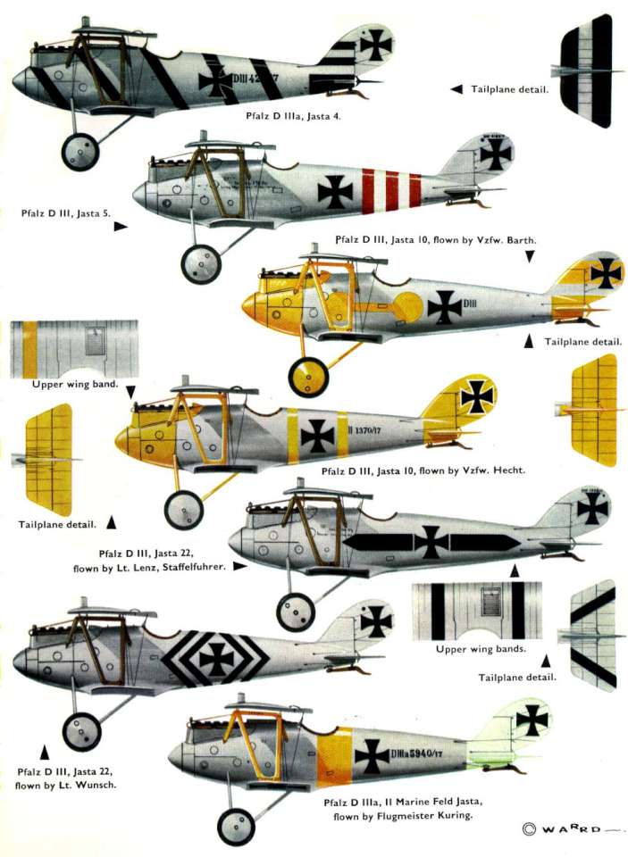 Pfalz DIII (43) Page 11-960