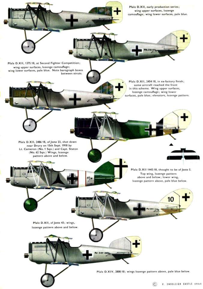 Pfalz DXII (199) Page 11-960