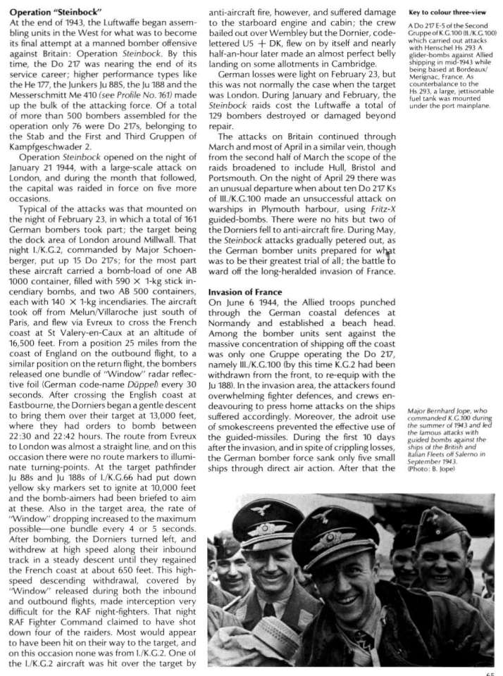 Do217 Variants (261) Page 19-960