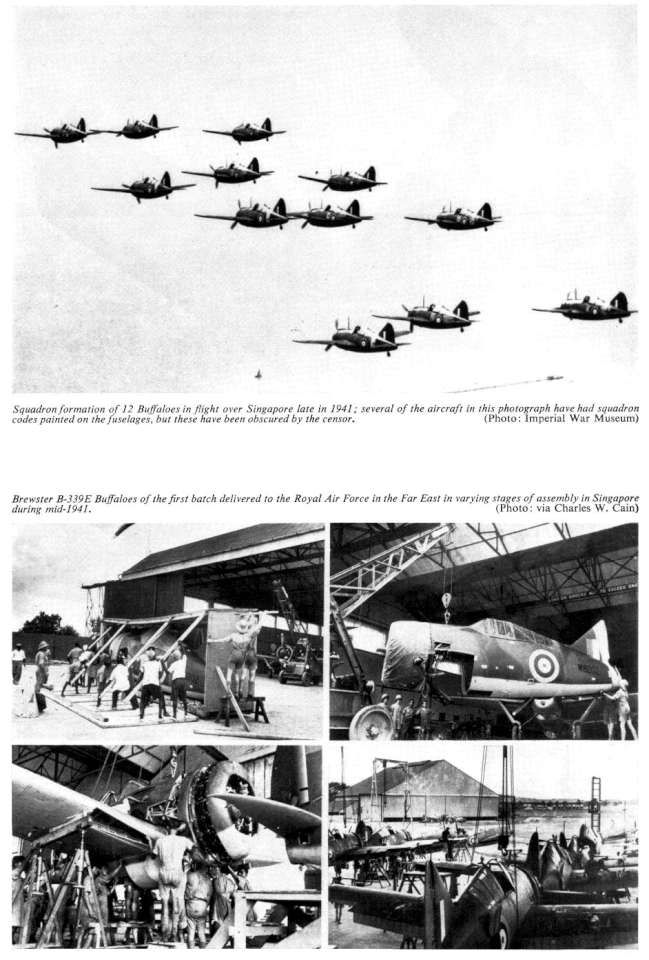Brewster Buffalo (217) Page 12-960