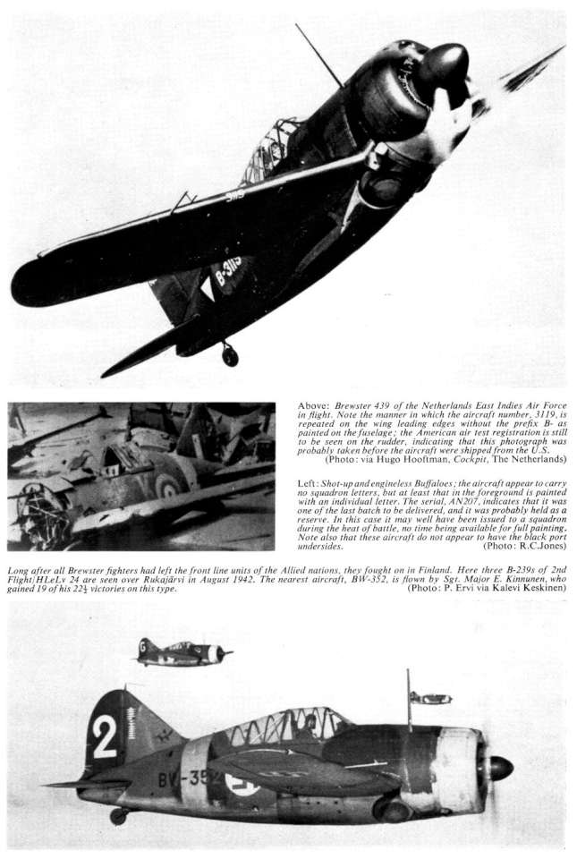 Brewster Buffalo (217) Page 21-960