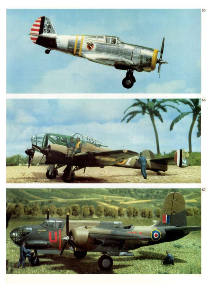Model Airplanes (40)-960