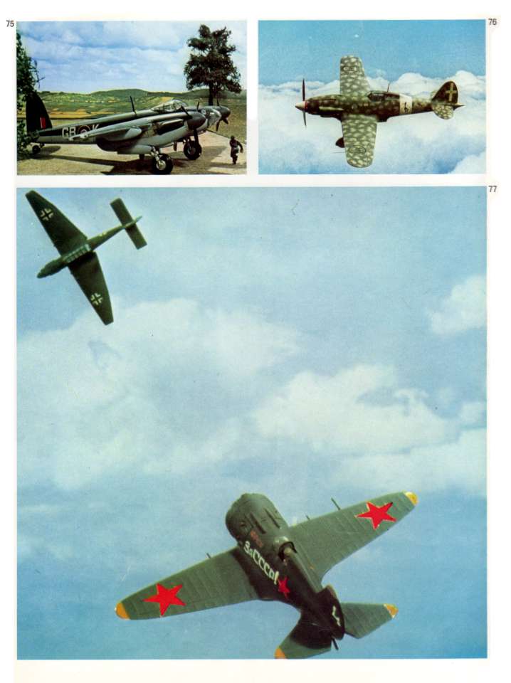 Model Airplanes (44)-960