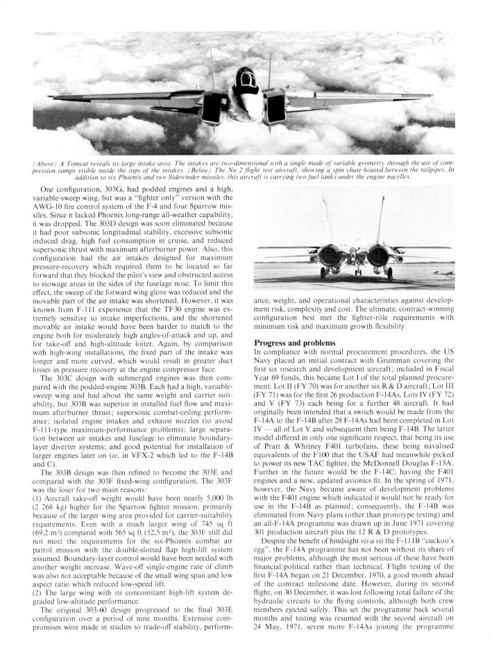 Grumman F-14 03-960
