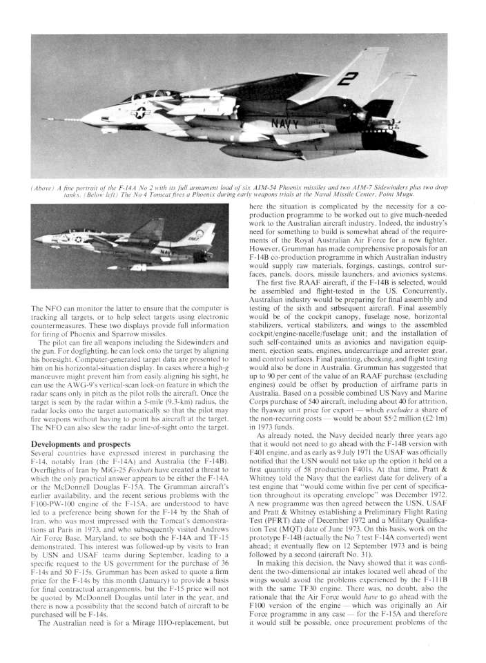 Grumman F-14 11-960