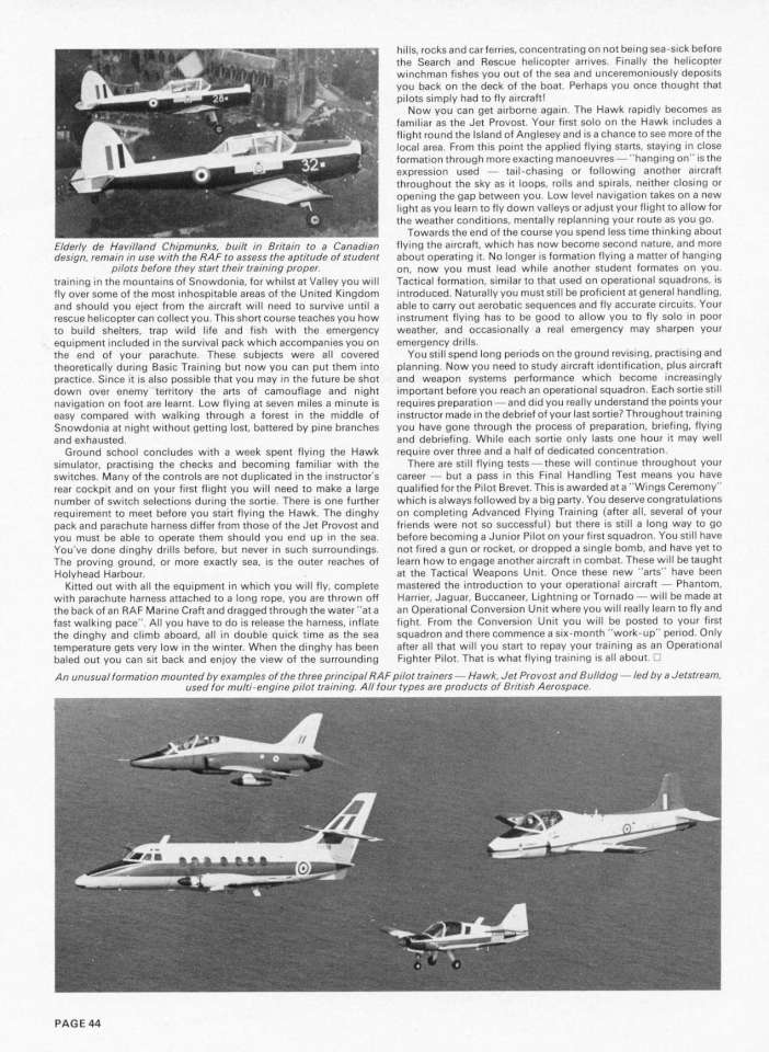 Royal Air Force Yearbook 1981 Page 46-960