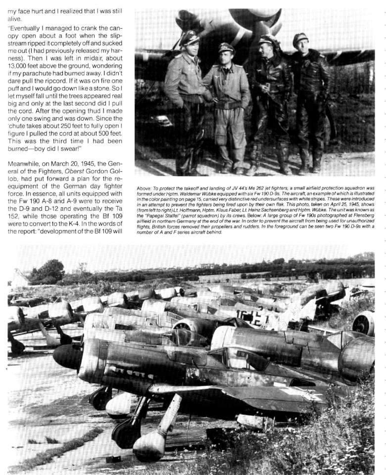 10 FW190D Page 29-960